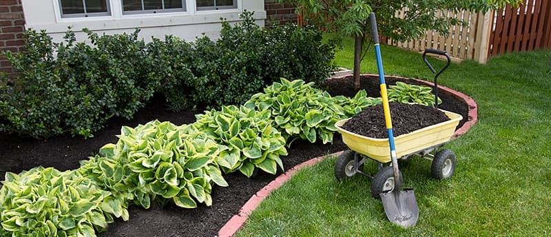Landscape Maintenance